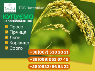 Покупаем на постоянной основе: просо, горчица, лен, кориандр, сорго